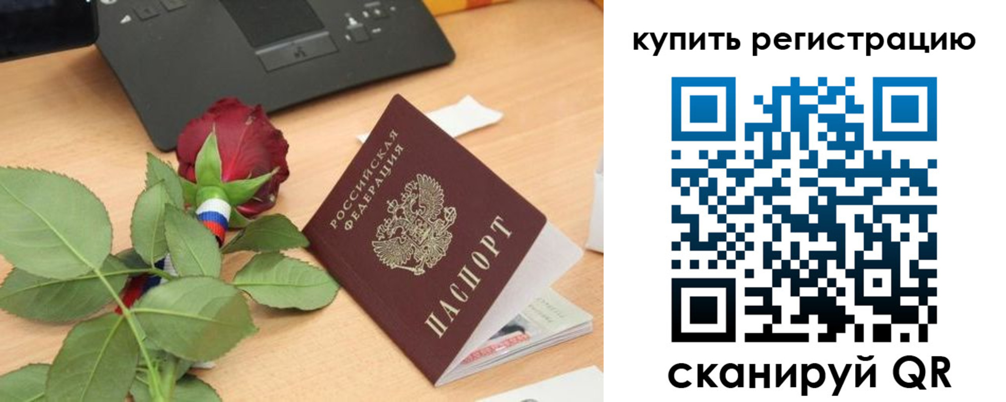 прописка 2025 в Кольчугино
